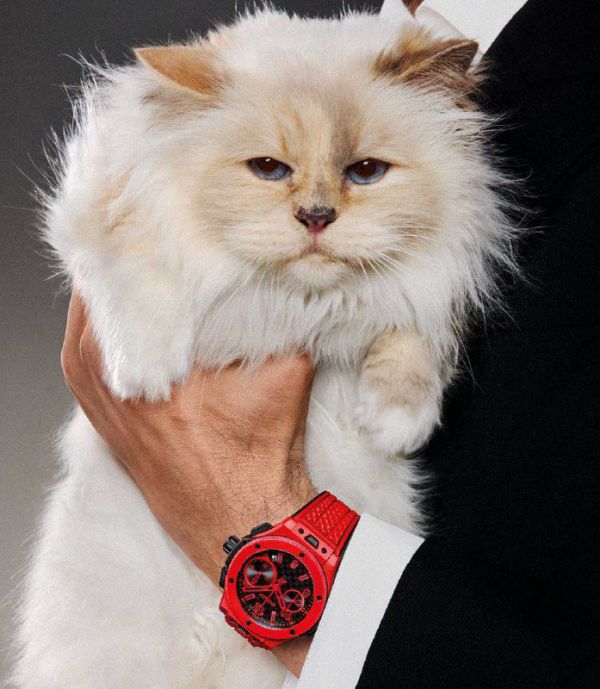Karl Lagerfeld's favourite cat starred in an ad for Hublot watches (photo)