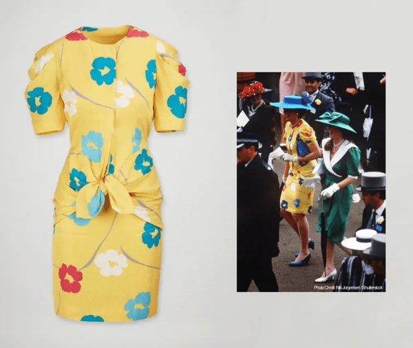 Princess Diana's wardrobe is up for auction (photo)