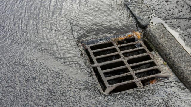 Женщина вылила кофе в уличную канализацию — и получила штраф в $200