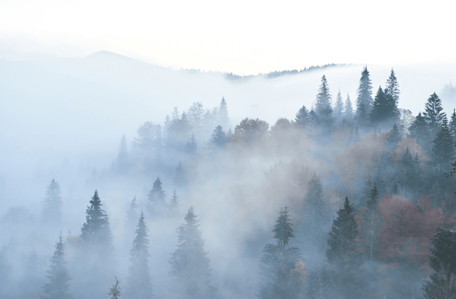 Какой праздник отмечают 30 октября: традиции, запреты и приметы на этот день Какой праздник отмечают 30 октября: традиции, запреты и приметы на этот день