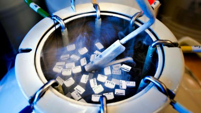 Viking children. Sperm has taken over the world