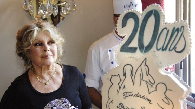 French film legend Brigitte Bardot has died, she was 91 years old