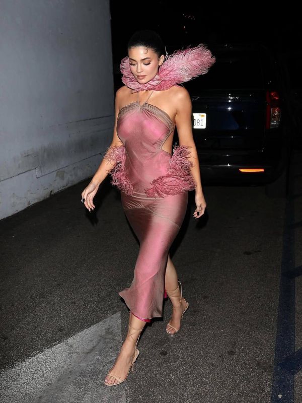 Kylie Jenner appeared in public in an unusual outfit with feathers (photo)