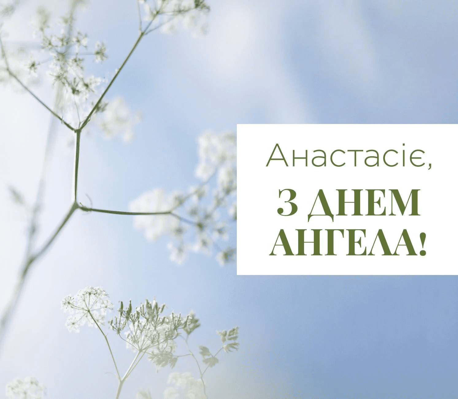 Не забудьте поздравить Анастасию с праздником 22 декабря: картинки и открытки