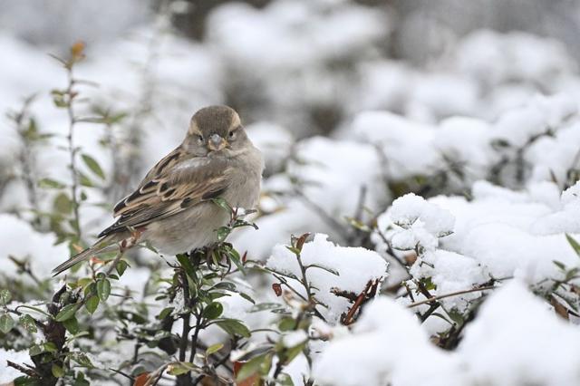 Девять научно обоснованных способов помочь вам почувствовать себя лучше прямо сейчас в 2026 году