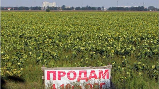 Распродажа украинской земли во время войны. В игру вступают крупные компании