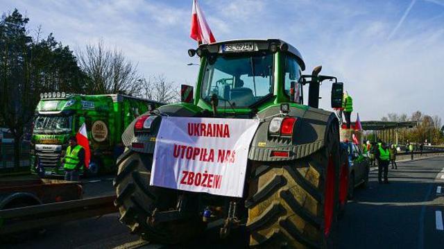 Как Польша и ее фермеры зарабатывают на экспорте в Украину во время войны - Rzeczpospolita