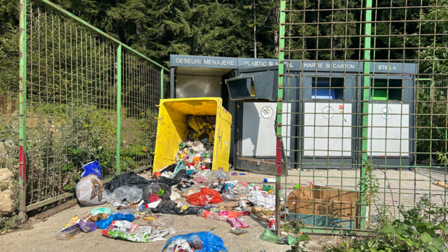 В Румынских Карпатах разрешат убивать медведей. Почему?